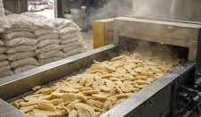 Plantain Flour Mill